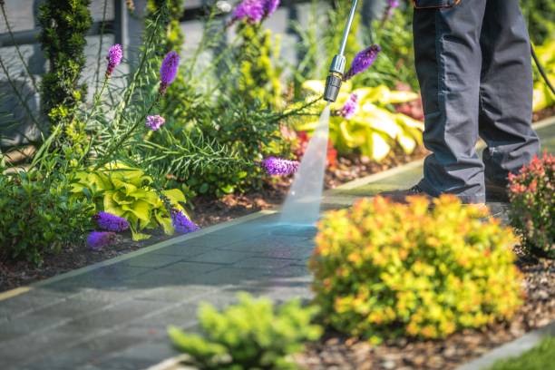 Best Dumpster Area Cleaning  in Lugoff, SC